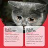 Yegbong Pet Dietary Supplement, Take Care Of The Pet Body Discomfort Cat To Absorb Nutritional Supplements